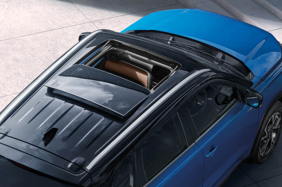 panoramic-roof